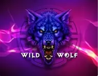 Wild Wolf Wild Wolf